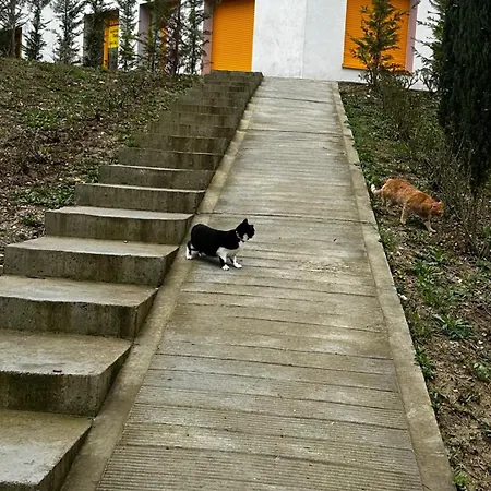 Xe Urban Nest Διαμέρισμα *