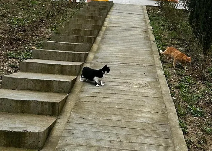 Xe Urban Nest Διαμέρισμα *